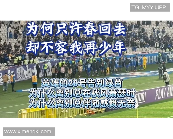 从街头到绿茵场：一个贫穷少年逆袭成足球明星的奋斗传奇